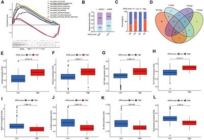 A novel angiogenesis-based molecular signature related to prognosis and tumor immune interactions of pancreatic cancer